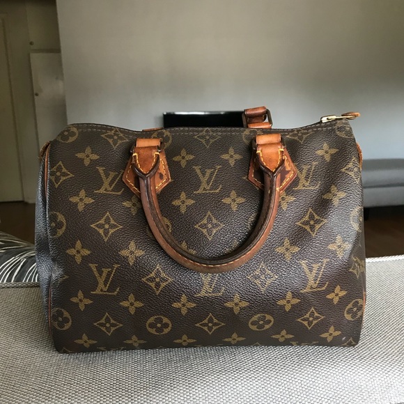 Louis Vuitton Handbags - Louis Vuitton Speedy Monogram